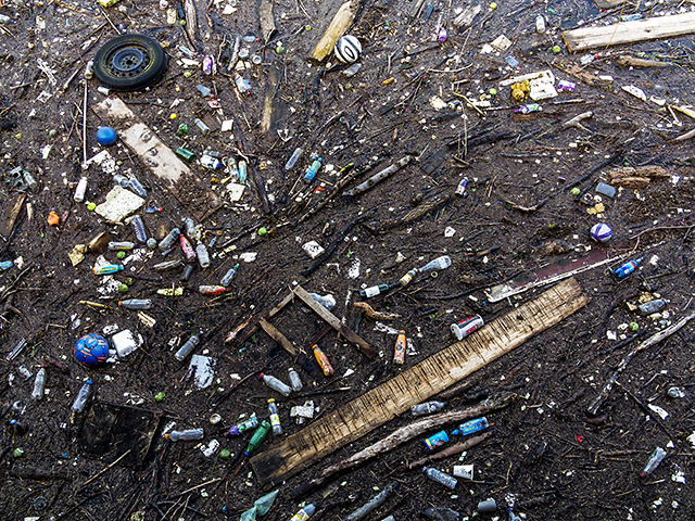 Article : L&rsquo;argent n&rsquo;est pas comestible